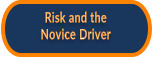Risk and the Novice Driver