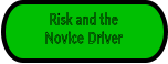 Risk and the Novice Driver